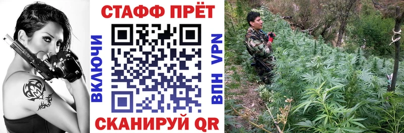Где найти наркотики Мичуринск Кокаин Псилоцибиновые грибы МЕТАМФЕТАМИН OMG как зайти Каннабис