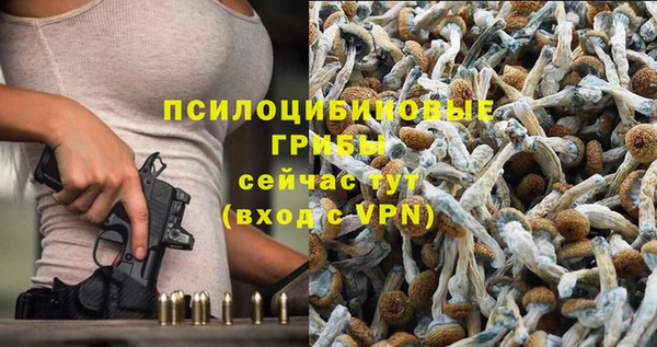 MESCALINE Аркадак