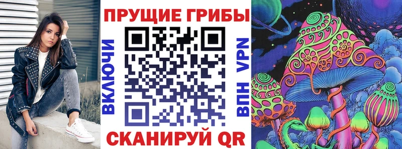 Галлюциногенные грибы Psilocybe купить наркотик ОМГ ОМГ ONION Мичуринск
