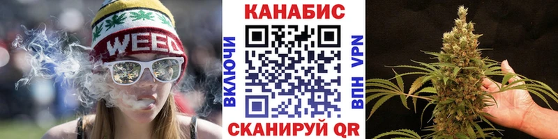 купить   Мичуринск  Бошки Шишки семена 
